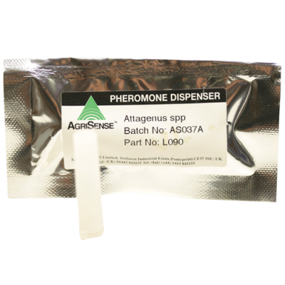 PHEROMON PELZKÄFER (ATTAGENUS SPP.)