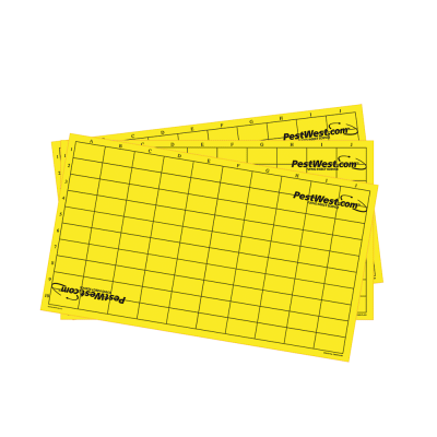 Klebefläche Gelb/gerastert Pappe