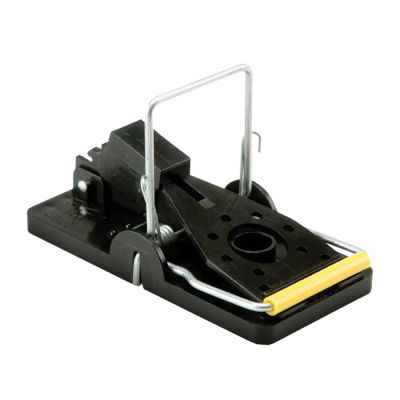 Kness Maus - 1 Stück