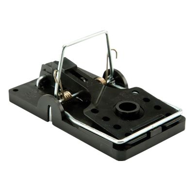 Kness Ratte - 1 Stück